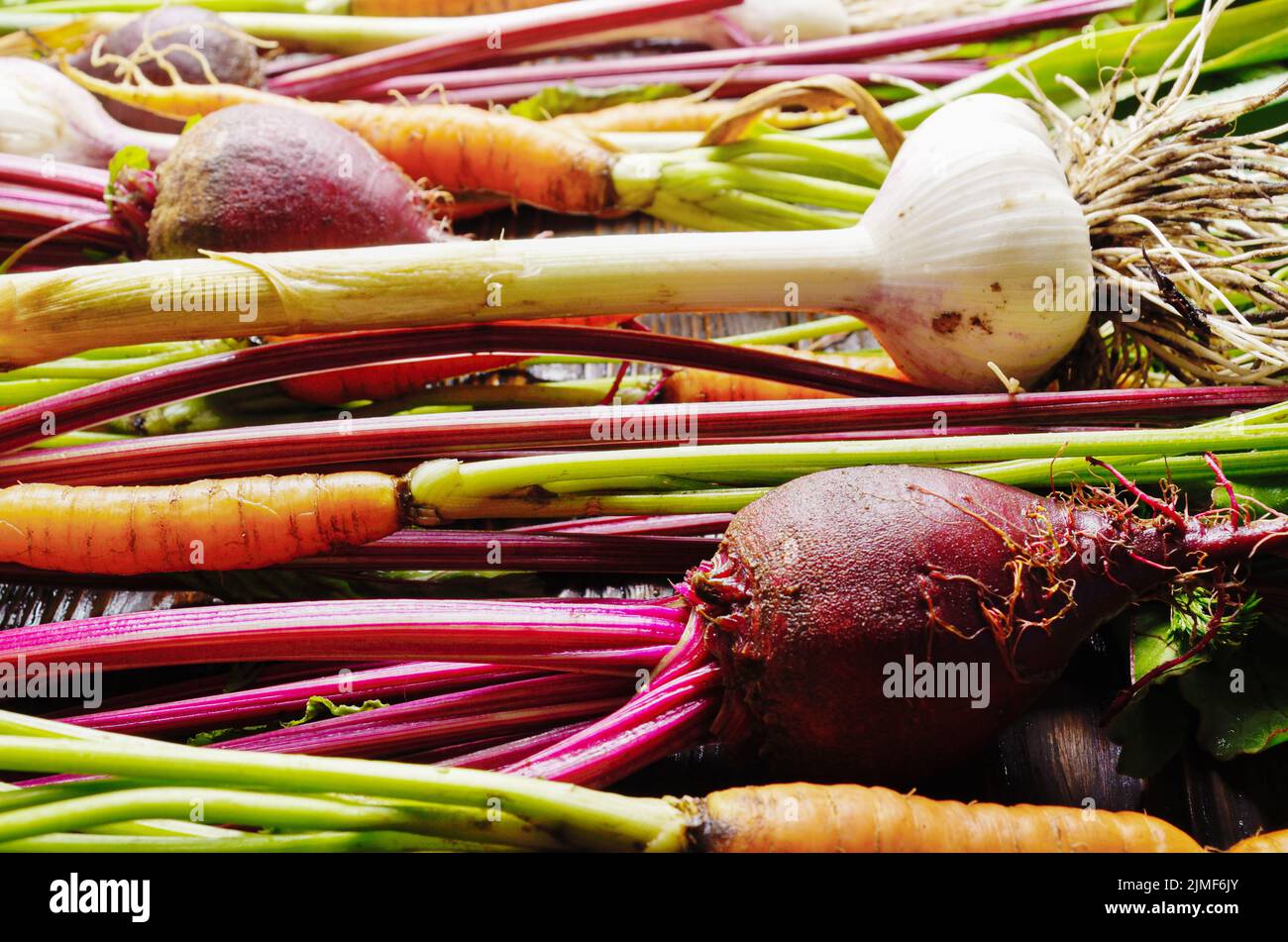 Arrière-plan de vegan organique fraîche de l'ail vert et les carottes épluchés Banque D'Images