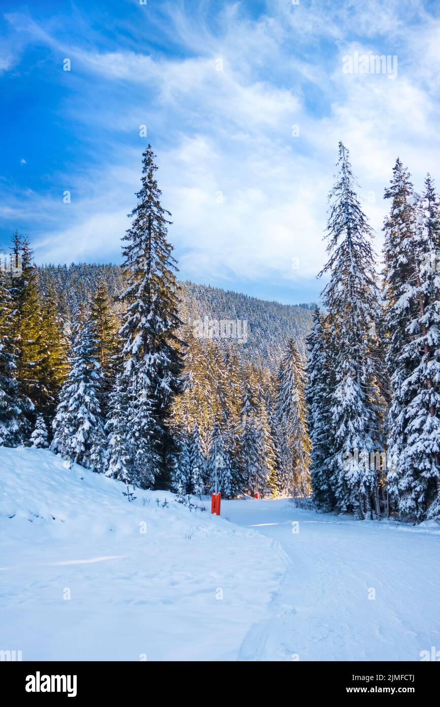 Station de ski Bansko, Bulgarie, piste de ski Banque D'Images