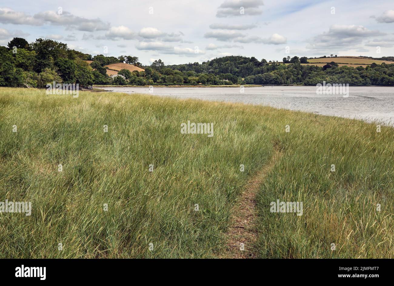 Un chemin à travers la longue herbe sur les rives de la rivière Tavy à Devon. Banque D'Images