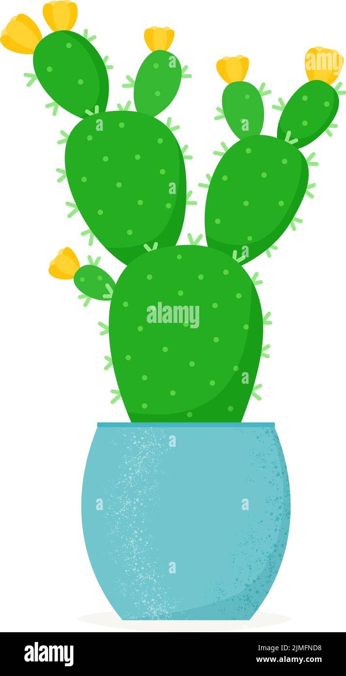 Cactus fleuris dans un style plat. Maison en fleur succulente dans le pot. Illustration vectorielle Illustration de Vecteur