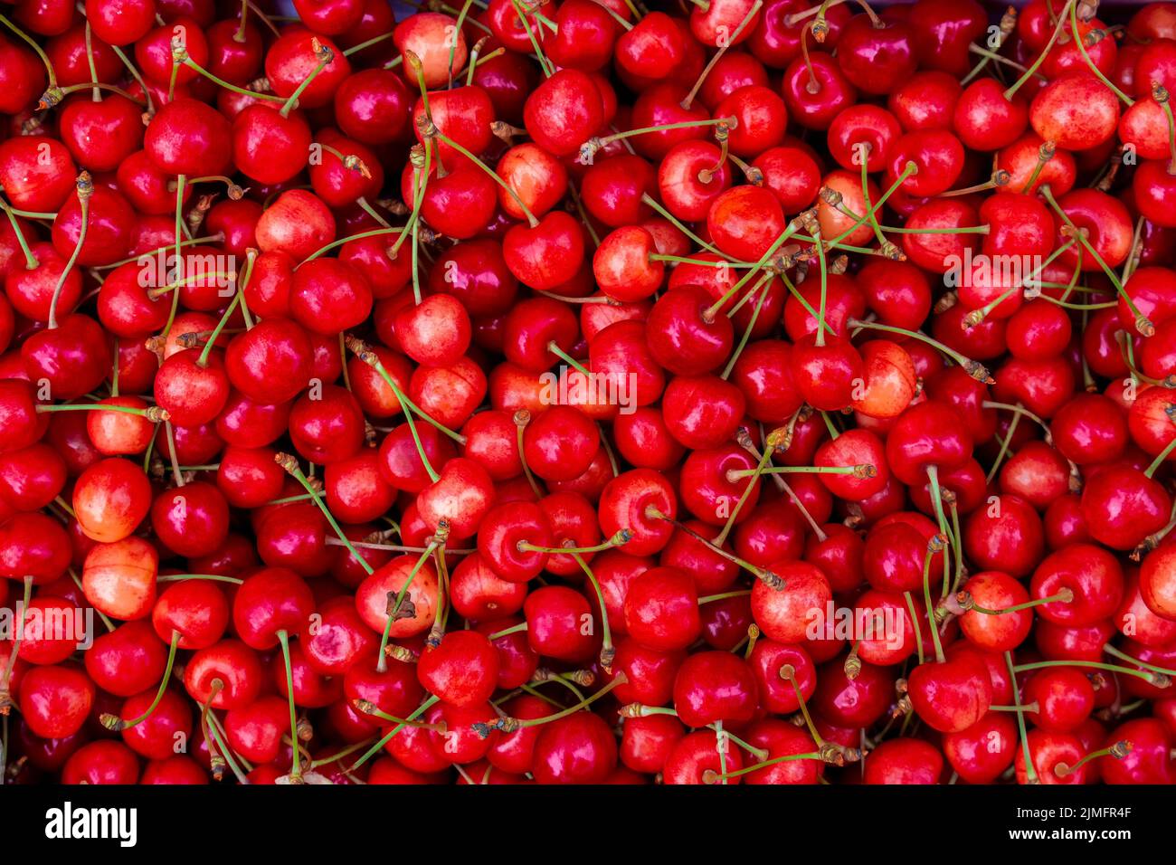 Fond de cerises rouges avec pédoncules. Beaucoup de fruits frais. Banque D'Images