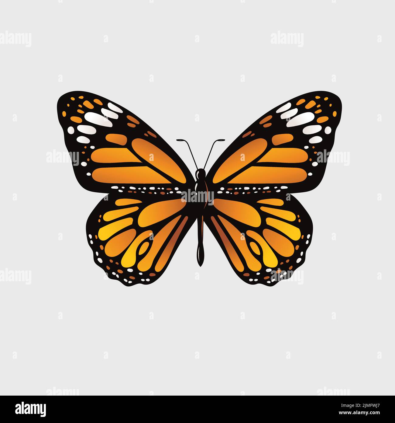 Dessin vectoriel d'un papillon orange monarque sur fond blanc Illustration de Vecteur