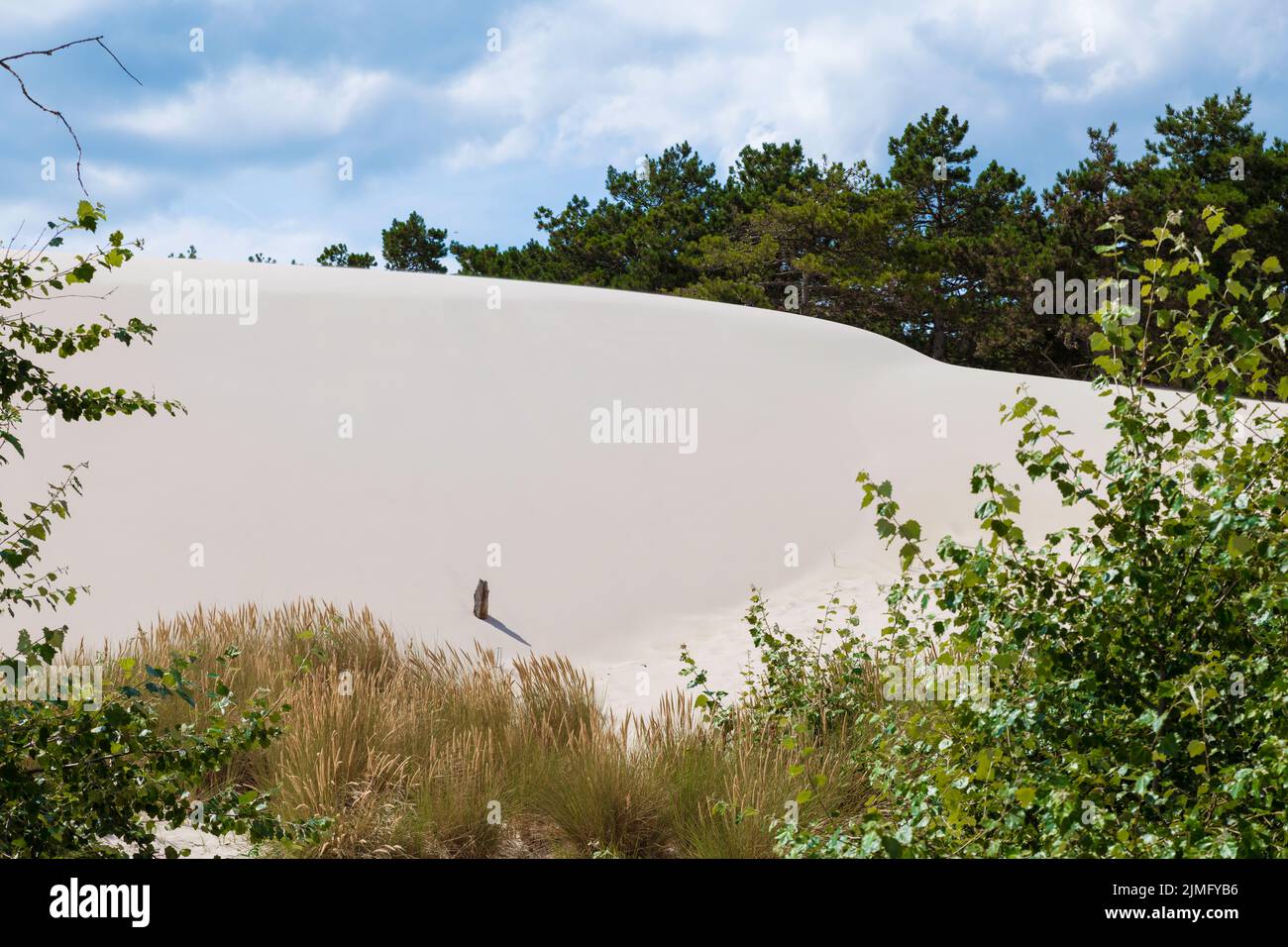 sable blanc cristal sur les dunes de schoorl en hollande Banque D'Images