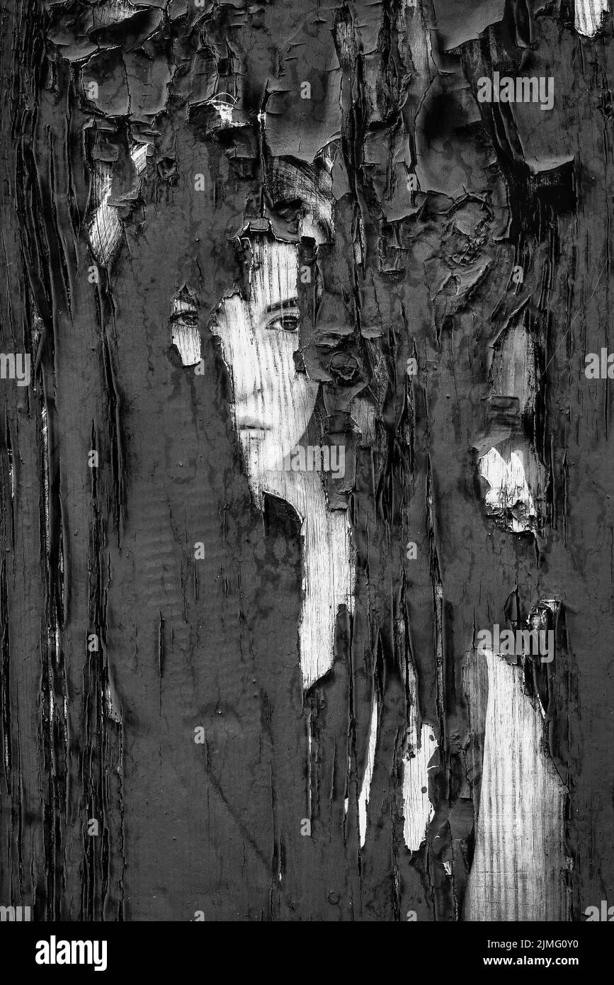 Portrait d'une jeune femme sur une vieille planche de bois Banque D'Images