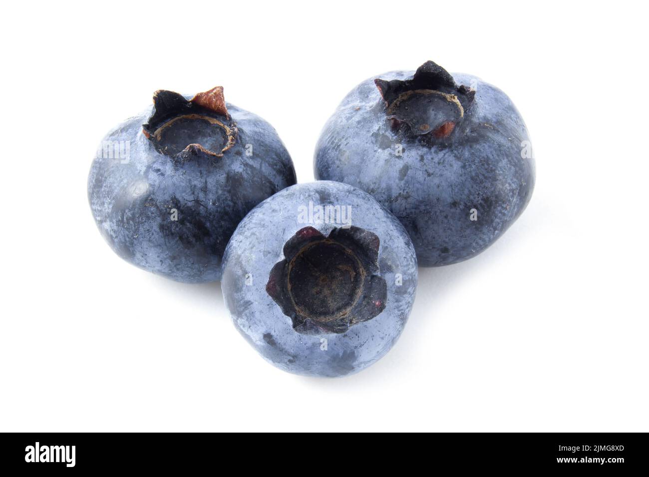 Bleuets mûrs isolés sur fond blanc de près. Banque D'Images