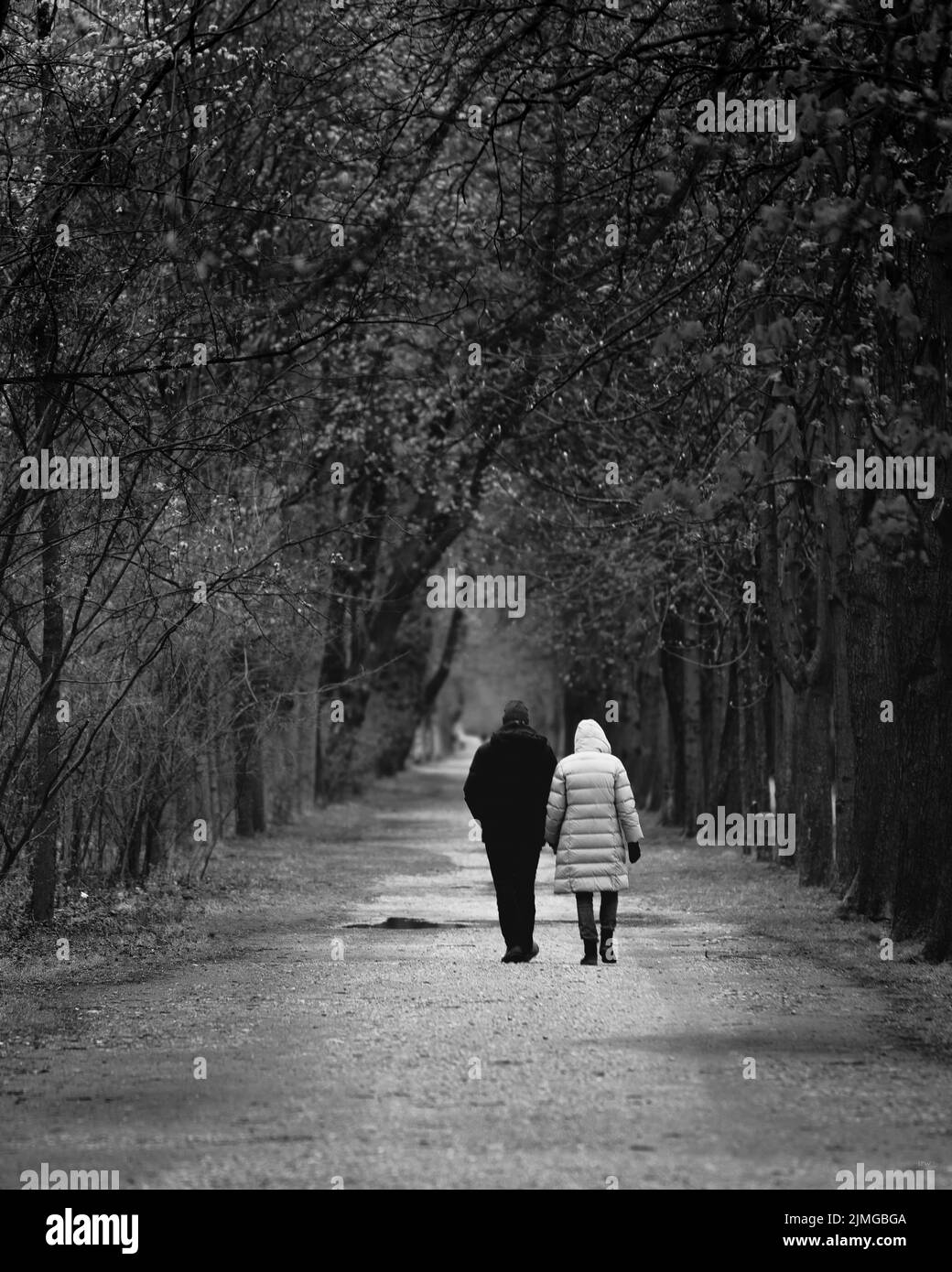 Une échelle de gris d'un vieux couple marchant dans le parc de l'arrière Banque D'Images