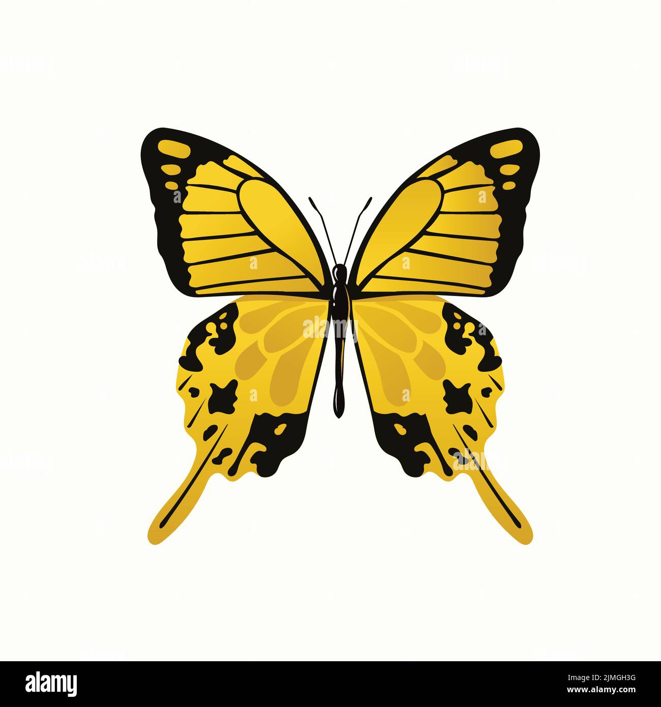 Motif vectoriel d'un papillon jaune monarque sur fond blanc Illustration de Vecteur