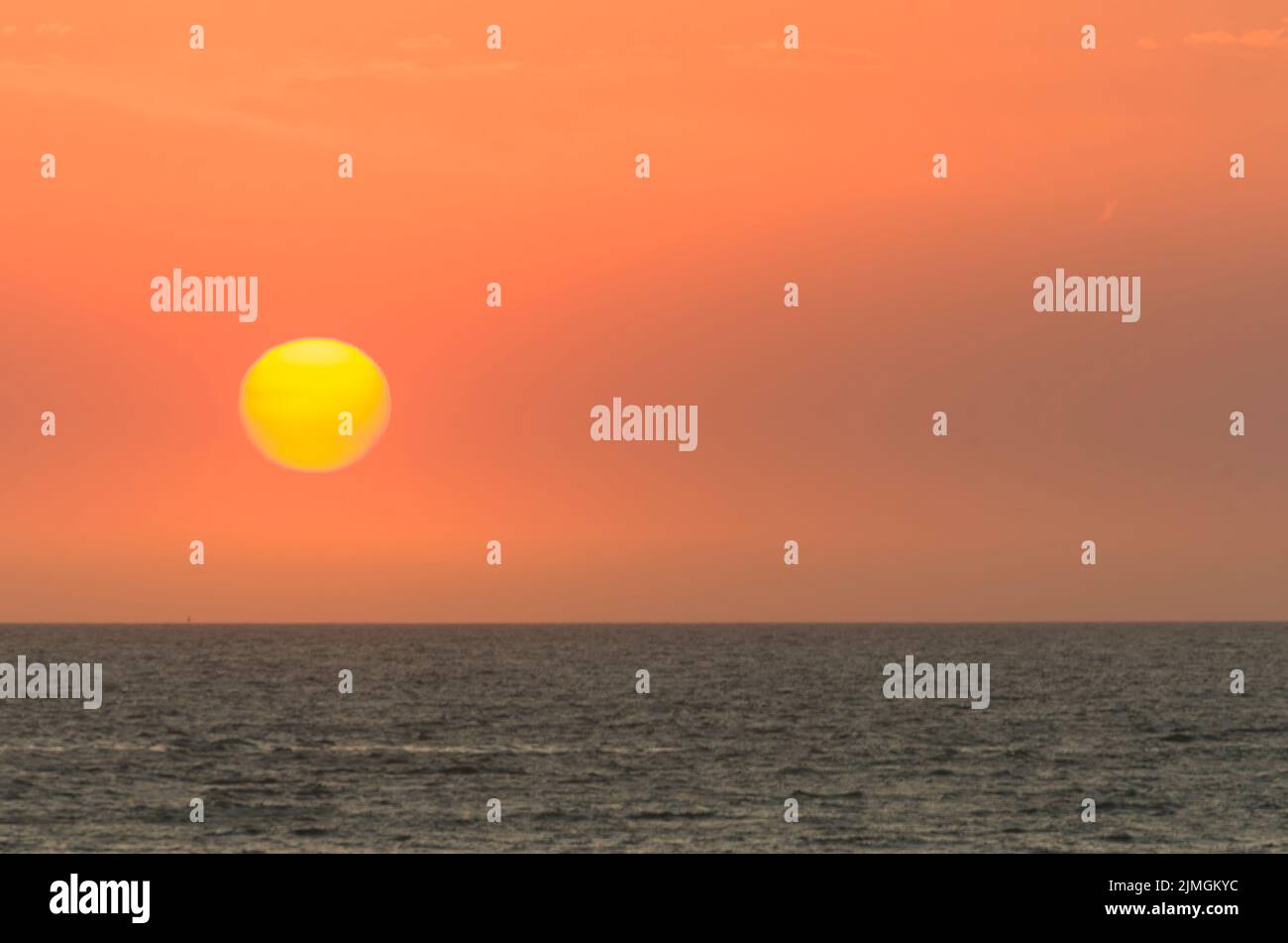 Magnifique coucher de soleil sur la plage uruguayenne avec des plantes en premier plan Banque D'Images