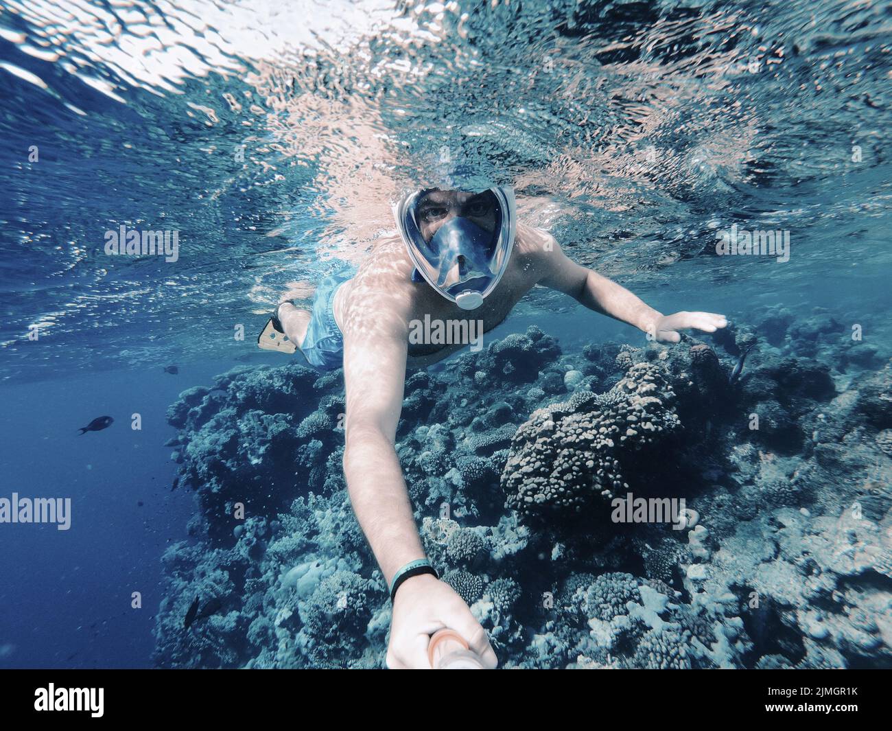 Plongée en apnée dans le récif de corail de la mer Rouge, Egypte Banque D'Images