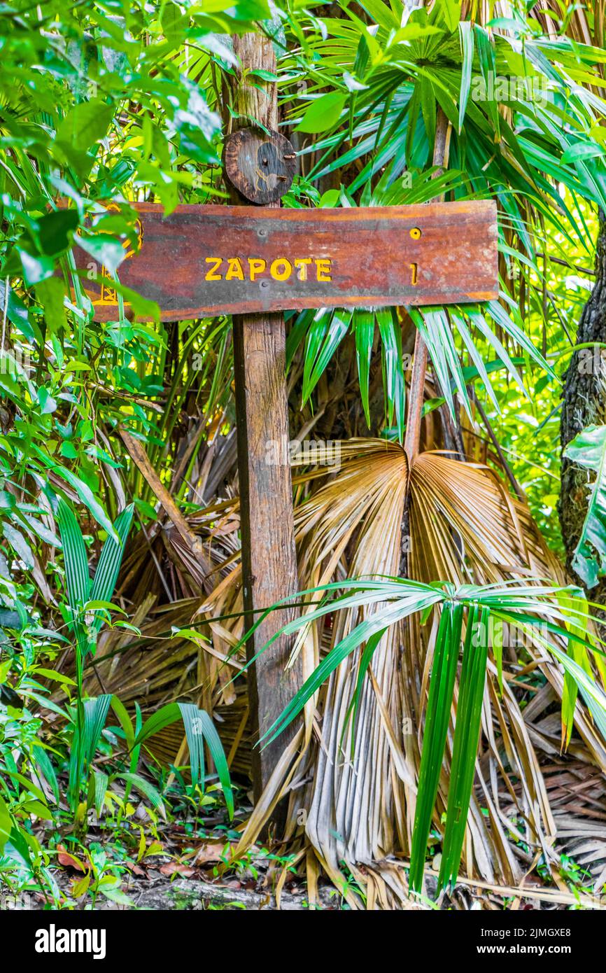 Sian Kaan National Park information entrée bienvenue Sing board Mexique. Banque D'Images