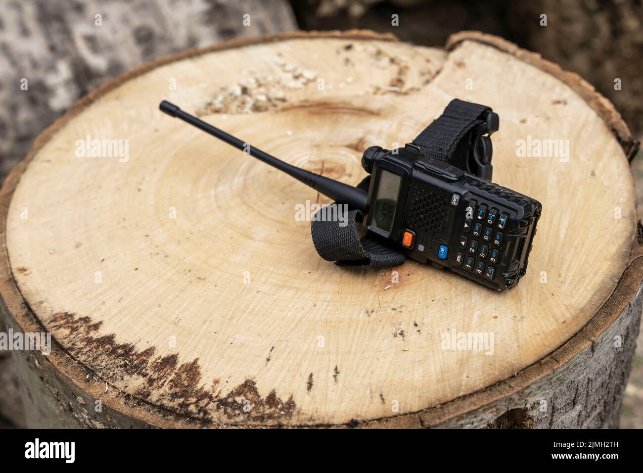 le talkie-walkie est couché sur une souche en bois. Moyens de communication Banque D'Images