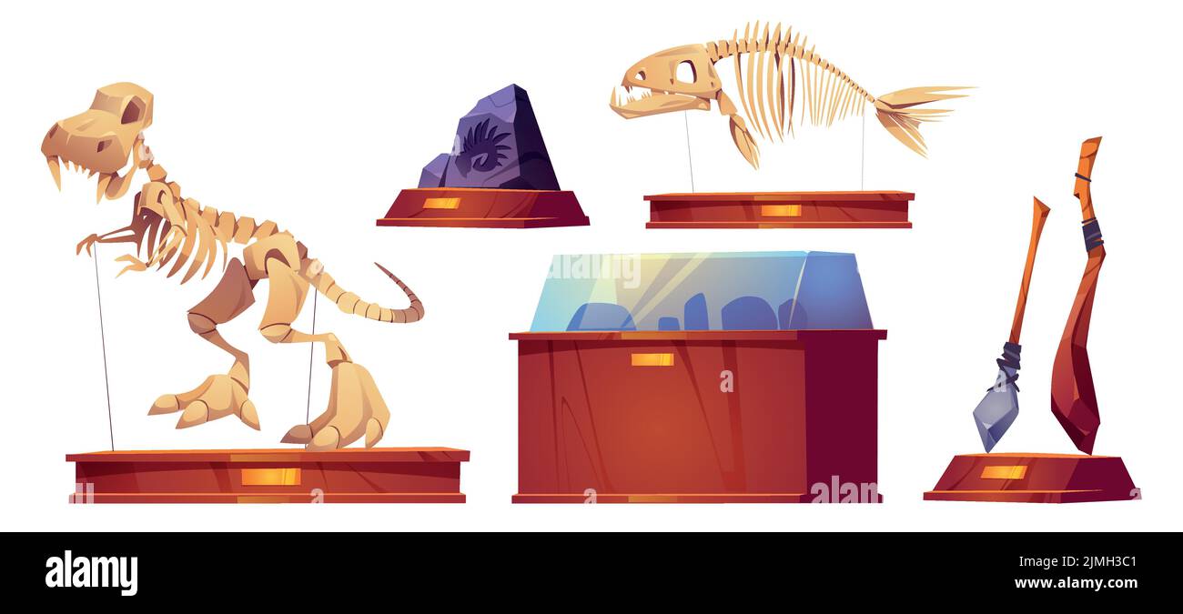 Exposition au musée historique avec squelettes de dinosaures. Caricature vectorielle illustrations isolées d'éléments de musée de paléontologie avec anime préhistorique Illustration de Vecteur