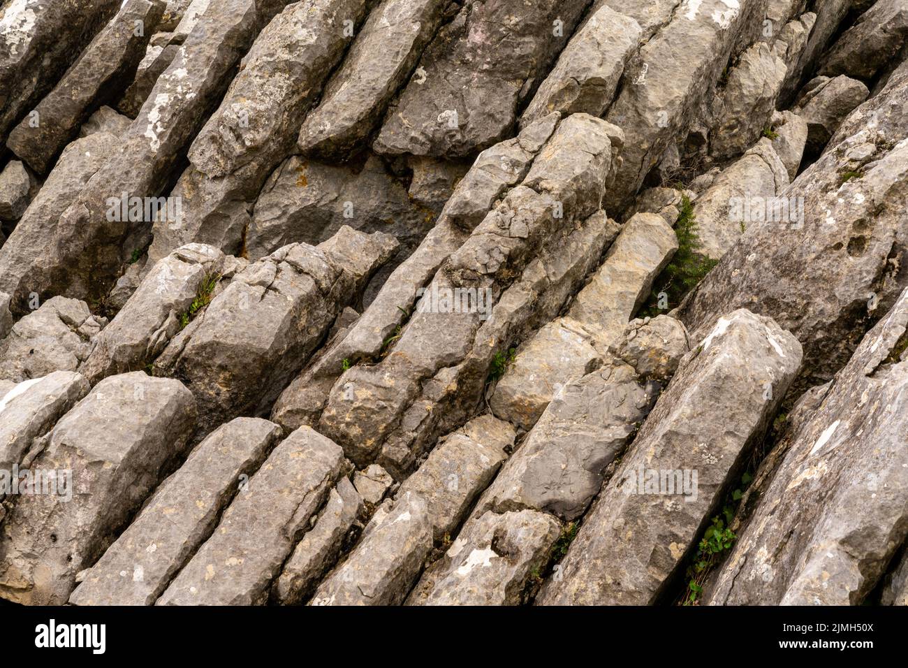 Vue rapprochée de la formation de roches calcaires et karstiques dans la Sierra de las Nieves Banque D'Images