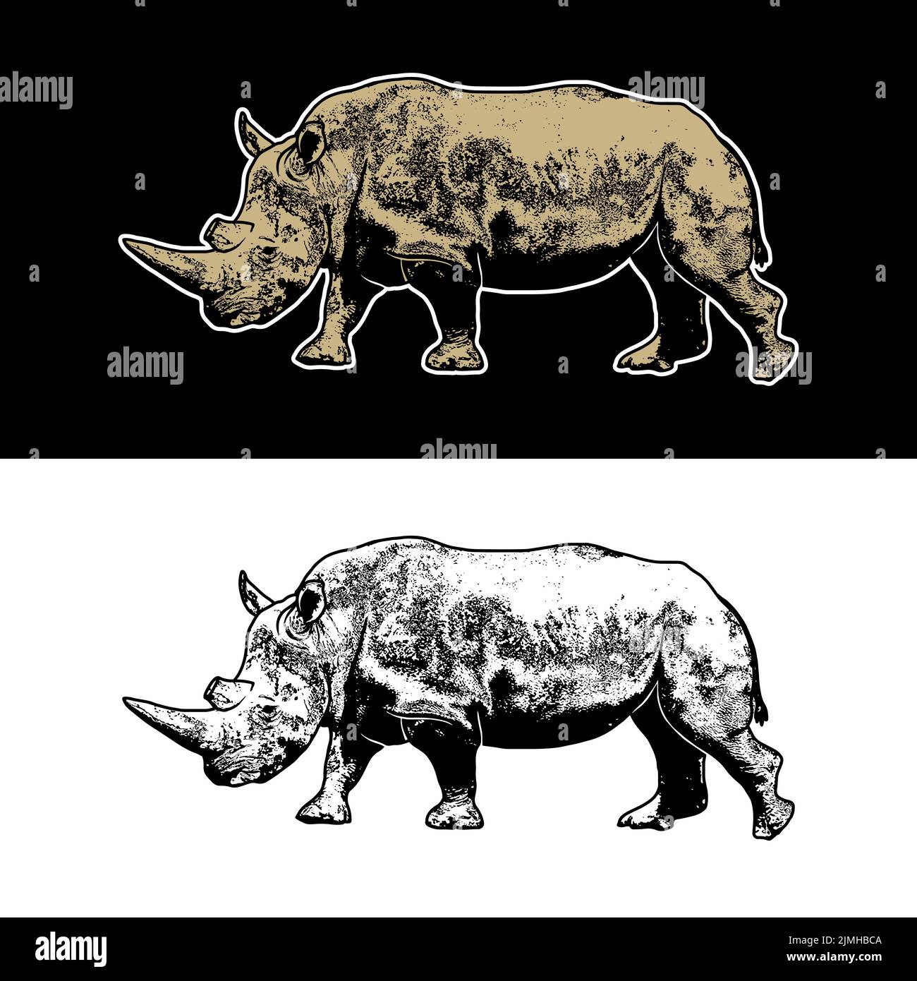 Dessin vectoriel d'une illustration de rhinocéros avec style de dessin à la main sur fond blanc et noir Illustration de Vecteur