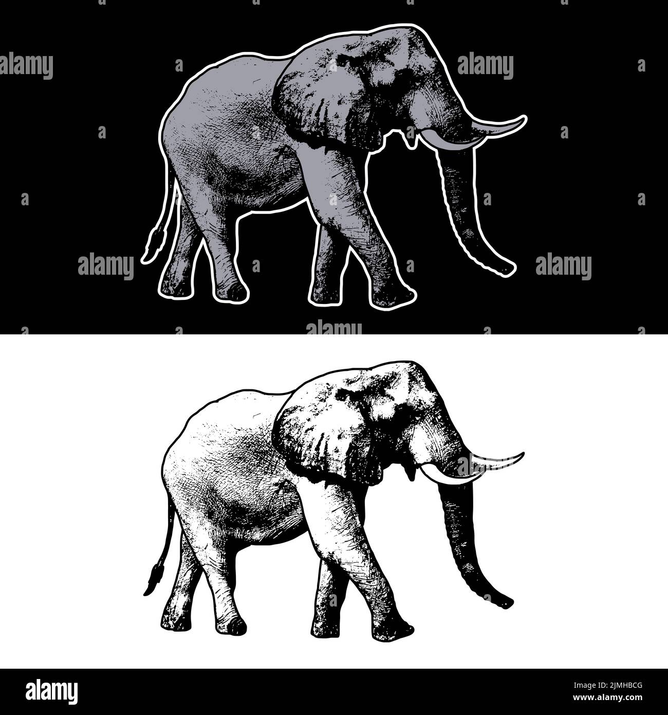 Dessin vectoriel d'une illustration d'éléphant avec style de dessin à la main sur fond blanc et noir Illustration de Vecteur