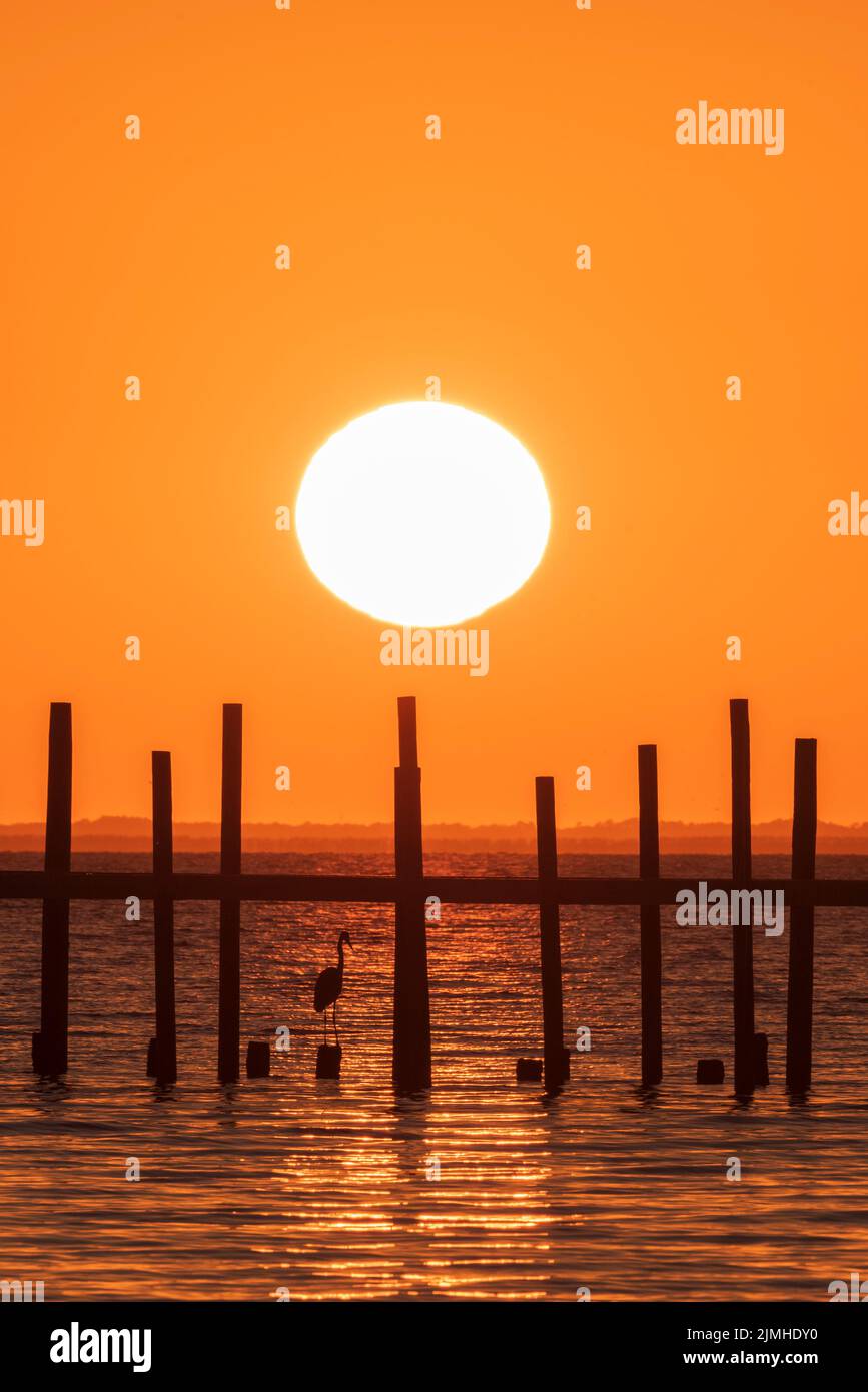 Un héron se trouve sous un quai tandis que le soleil se couche sur Mobile Bay, vue de Fairhope, Alabama. Banque D'Images