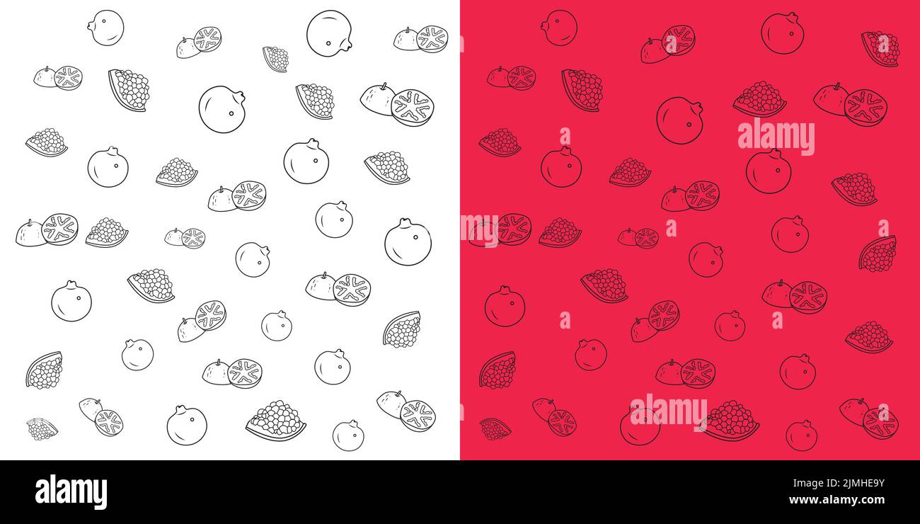 Motif de caniche vectoriel de fruits de grenade. Contours de grenat mûr isolés sur fond blanc et rouge. Illustration de Vecteur