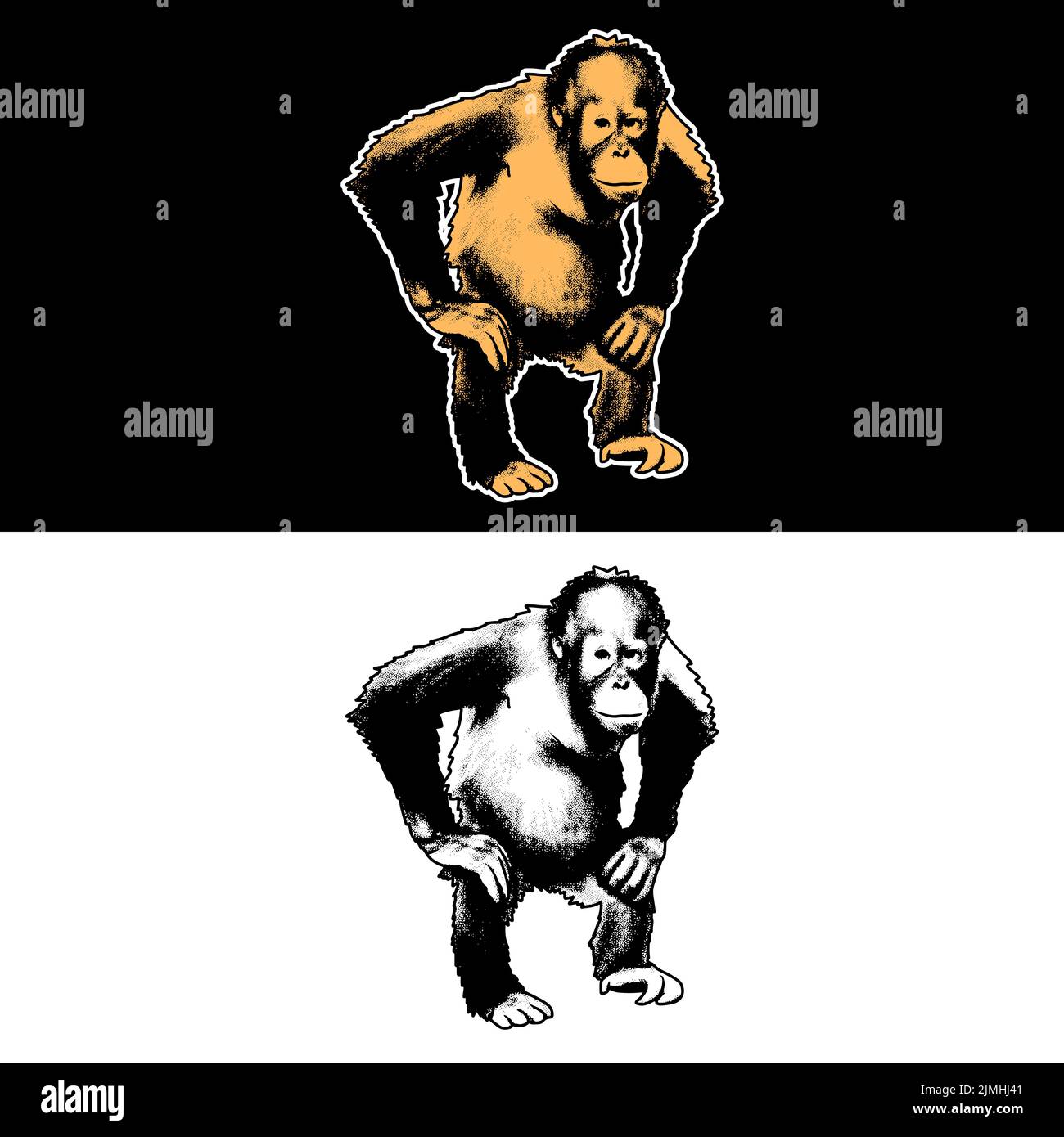 Un dessin vectoriel de singe avec style de dessin à la main sur fond blanc et noir Illustration de Vecteur