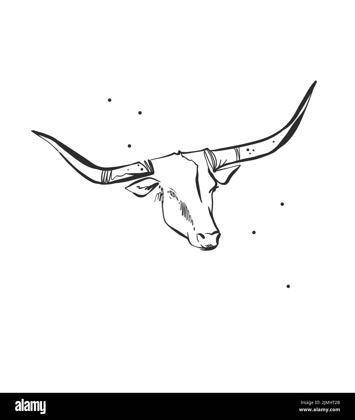 Dessin à la main abstrait vecteur graphique clipart illustration boho tête de taureau avec cornes logo élément.Western design concept.Bohemian sauvage ouest contemporain Illustration de Vecteur