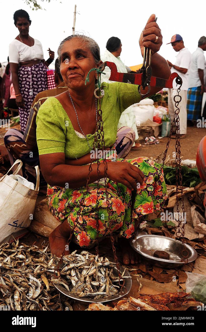 Sri Lanka, Negombo, style de vie, personnes, marché, Petite entreprise, Asie, voyage, photo Kazimierz Jurewicz Banque D'Images