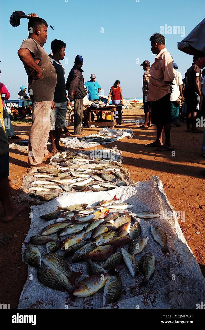 Sri Lanka, Asie, voyage, photo Kazimierz Jurewicz Banque D'Images