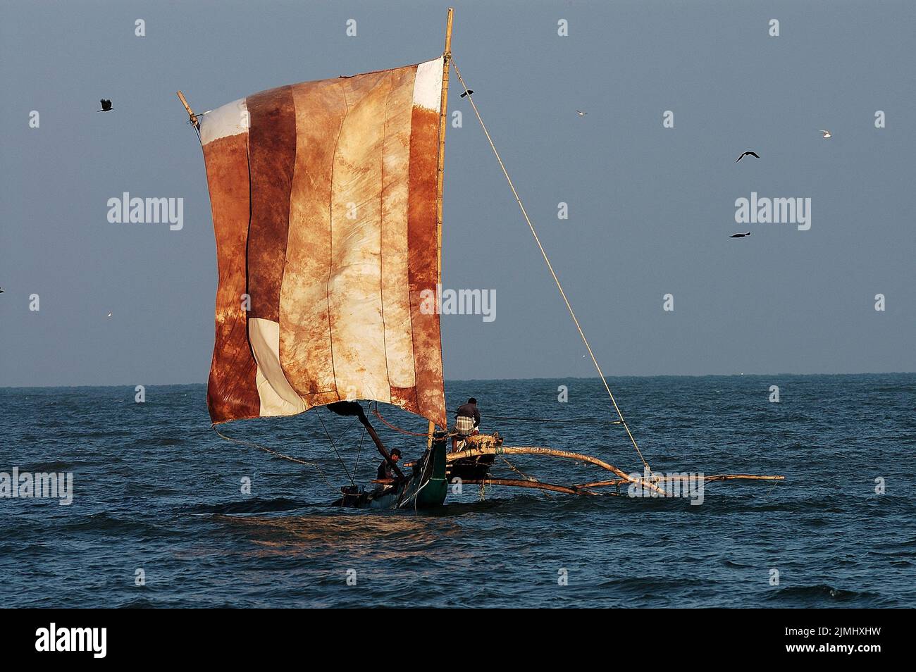 Sri Lanka, Asie, voyage, voile en catamaran au Sri Lanka, ciel bleu, voyage, air, belle, se vanter, bateau, bush, indien, océan, bleu, catamaran, luxe, océan, ouvert, plus, les gens, romantique, voile, mer, navire, silhouette, simple, espace, sport, soleil, lever du soleil, ciel, tourisme, voyage, Eau, vent, photo Kazimierz Jurewicz Banque D'Images