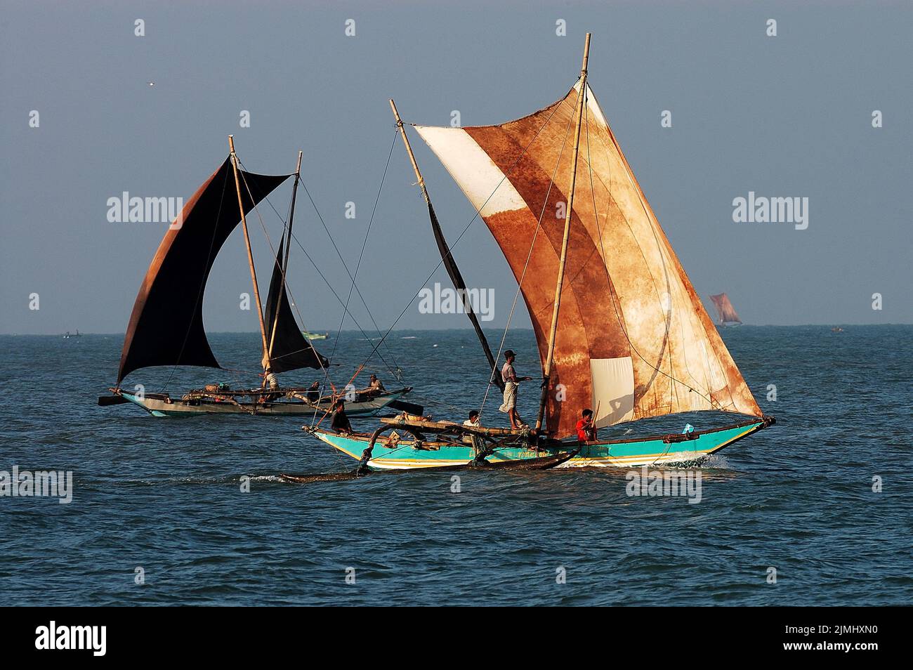 Sri Lanka, Asie, voyage, voile en catamaran au Sri Lanka, ciel bleu, voyage, air, belle, se vanter, bateau, bush, indien, océan, bleu, catamaran, luxe, océan, ouvert, plus, les gens, romantique, voile, mer, navire, silhouette, simple, espace, sport, soleil, lever du soleil, ciel, tourisme, voyage, Eau, vent, photo Kazimierz Jurewicz Banque D'Images