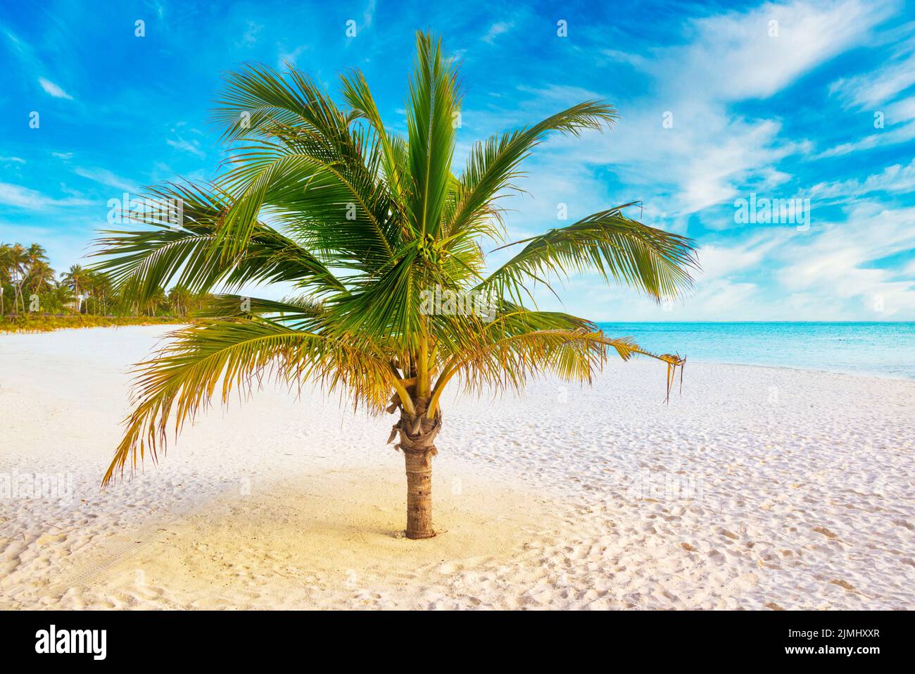Plage idyllique avec Palm Treesat les Maldives, océan Indien Banque D'Images