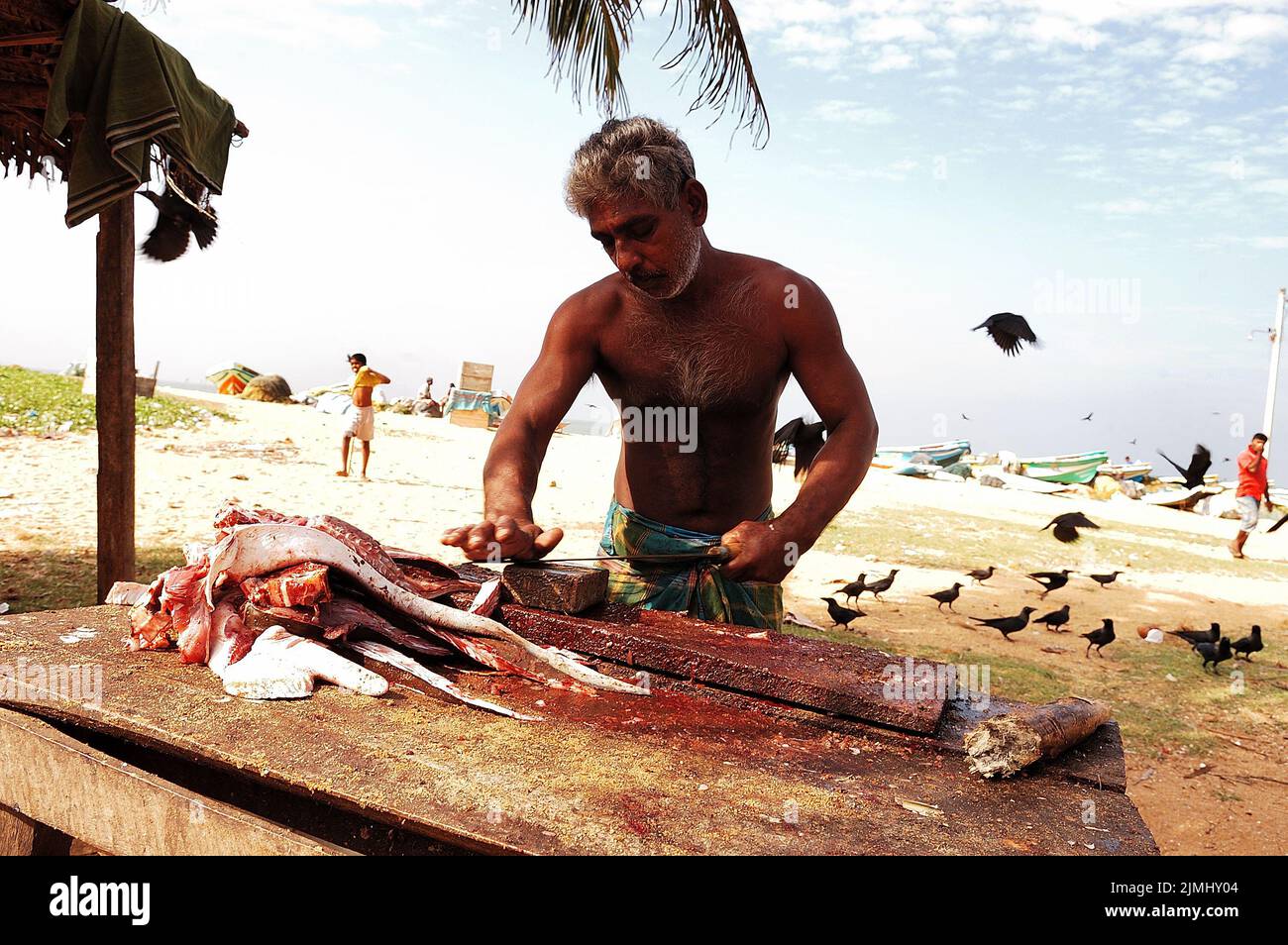 Sri Lanka, Asie, voyage, style de vie, personnes, Photo Kazimierz Jurewicz Banque D'Images