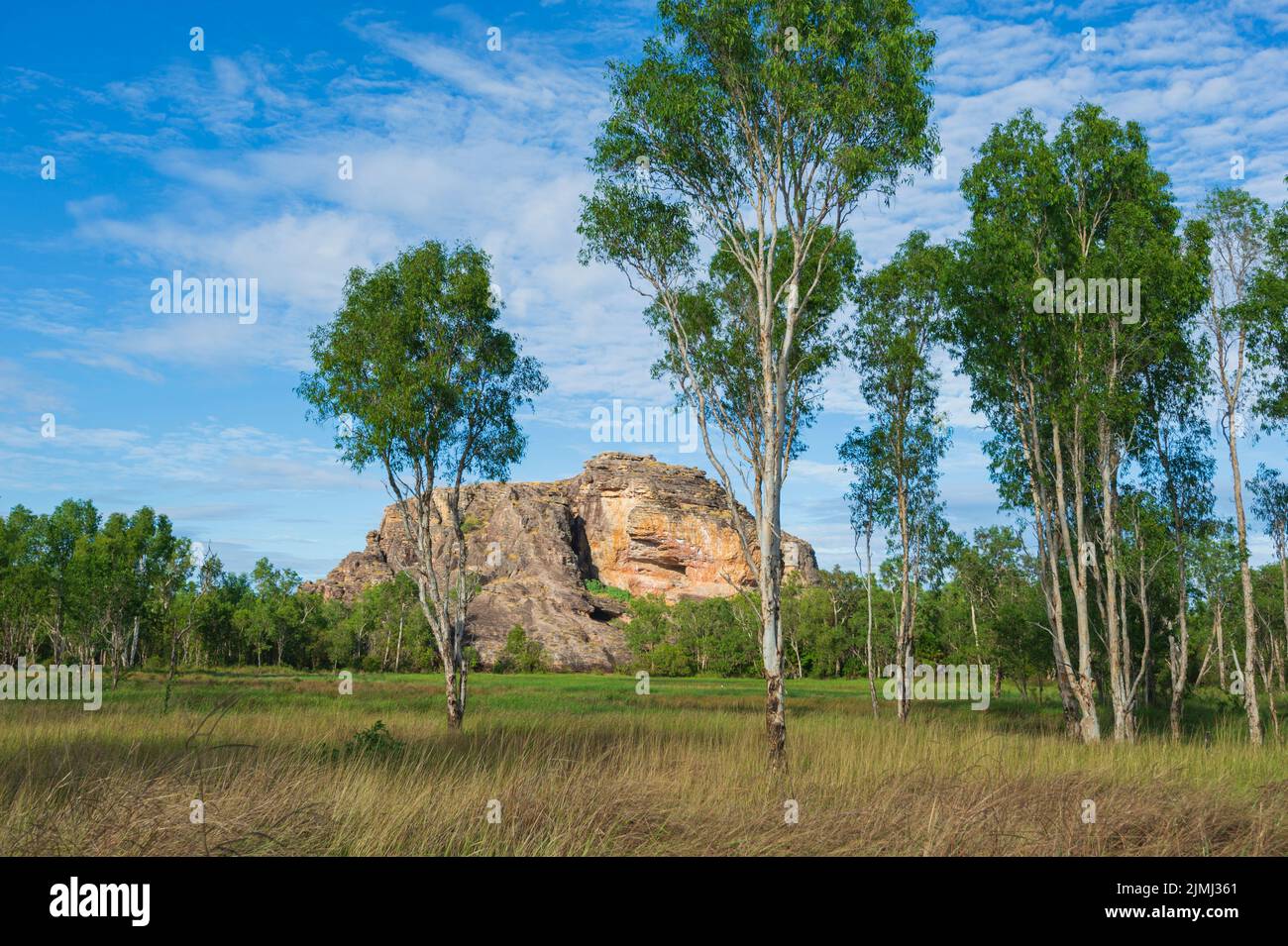 Vue panoramique à la frontière du parc national de Kakadu et de la terre d'Arnhem, territoire du Nord, Australie Banque D'Images