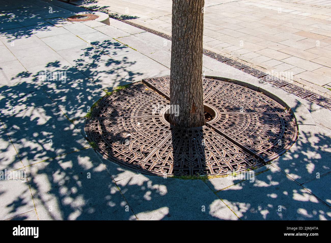 Grille de drainage métallique sur le trottoir autour d'un arbre en Slovaquie. Banque D'Images