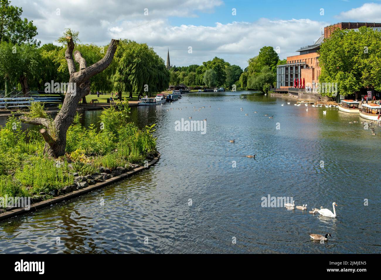River Avon, Stratford-upon-Avon, Warwickshire, Angleterre Banque D'Images