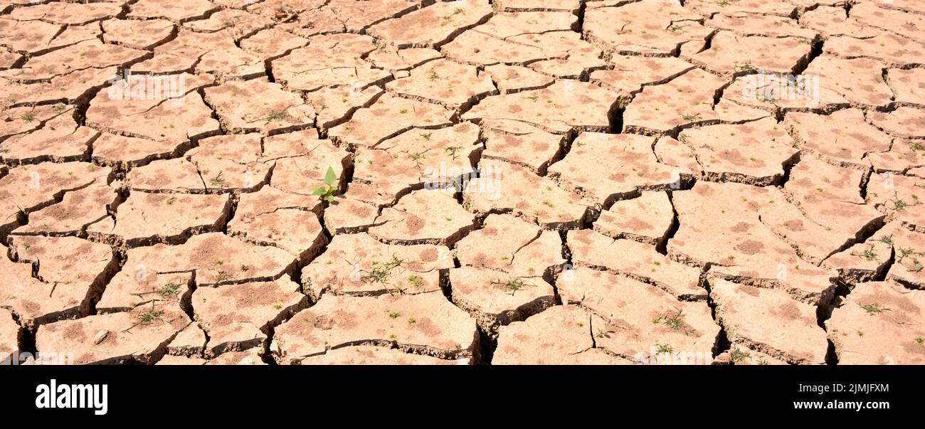 Terreno agrietado por la falta de agua, sequía Banque D'Images