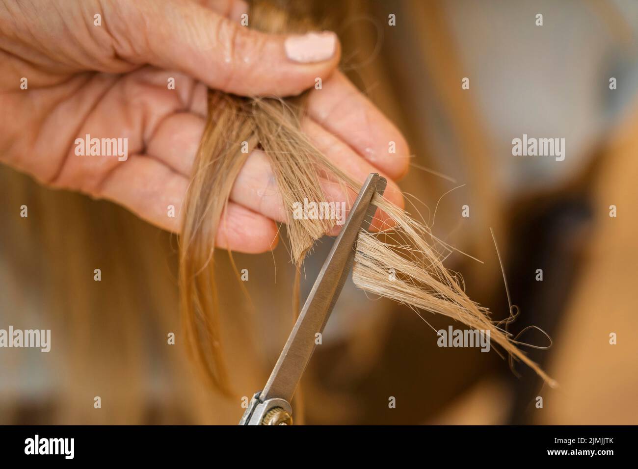 Une femme se fait couper les cheveux à la maison par la coiffeuse Banque D'Images