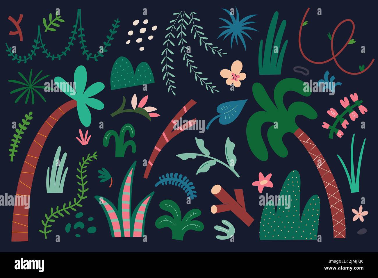 Ensemble de plantes tropiques, divers arbres tropiques et feuillage, lianes suspendus, palmtree. Plantes et feuilles de forêt exotiques, dessin stylisé Illustration de Vecteur