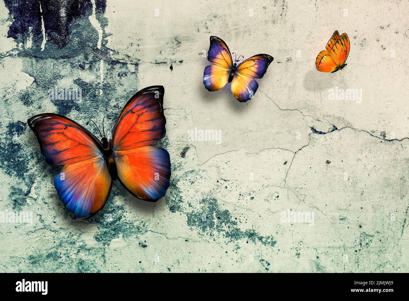 Magnifique Butterflys sur le mur Banque D'Images