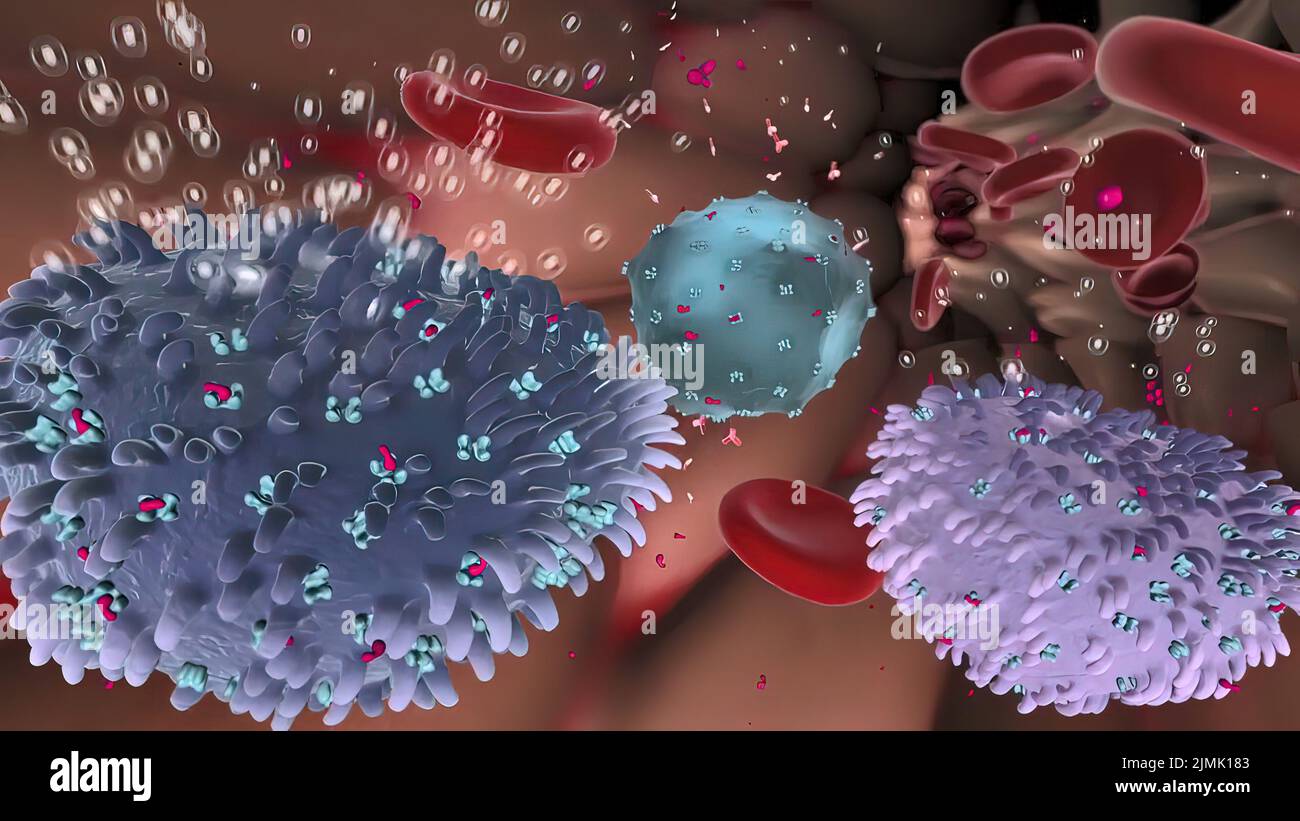Le système immunitaire est Globules blancs, anticorps, système de complément, système