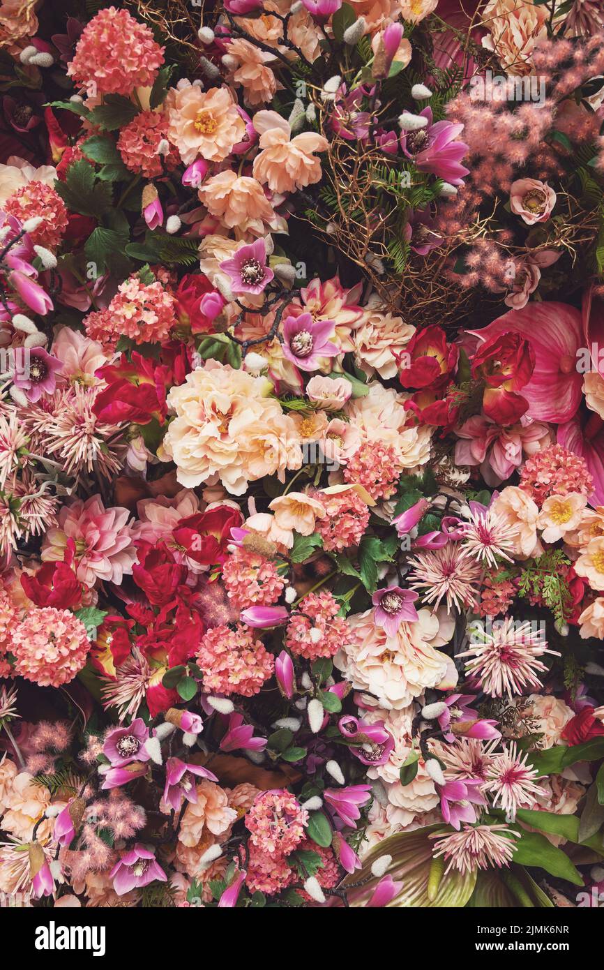 Arrière-plan avec beaucoup de différentes belles fleurs Banque D'Images