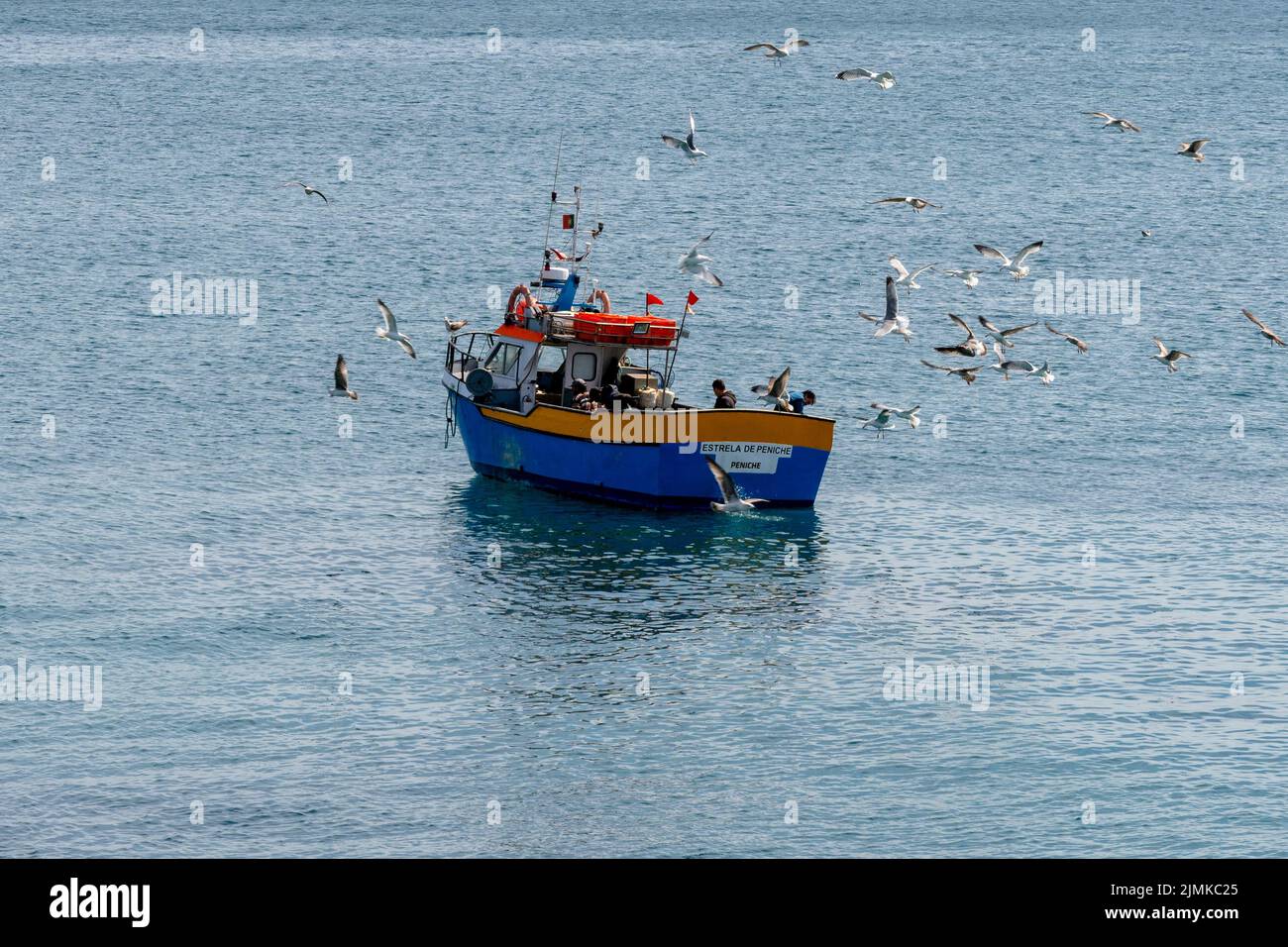 Des mouettes se battant au-dessus d'un petit bateau de pêche au large de la côte portugaise Banque D'Images