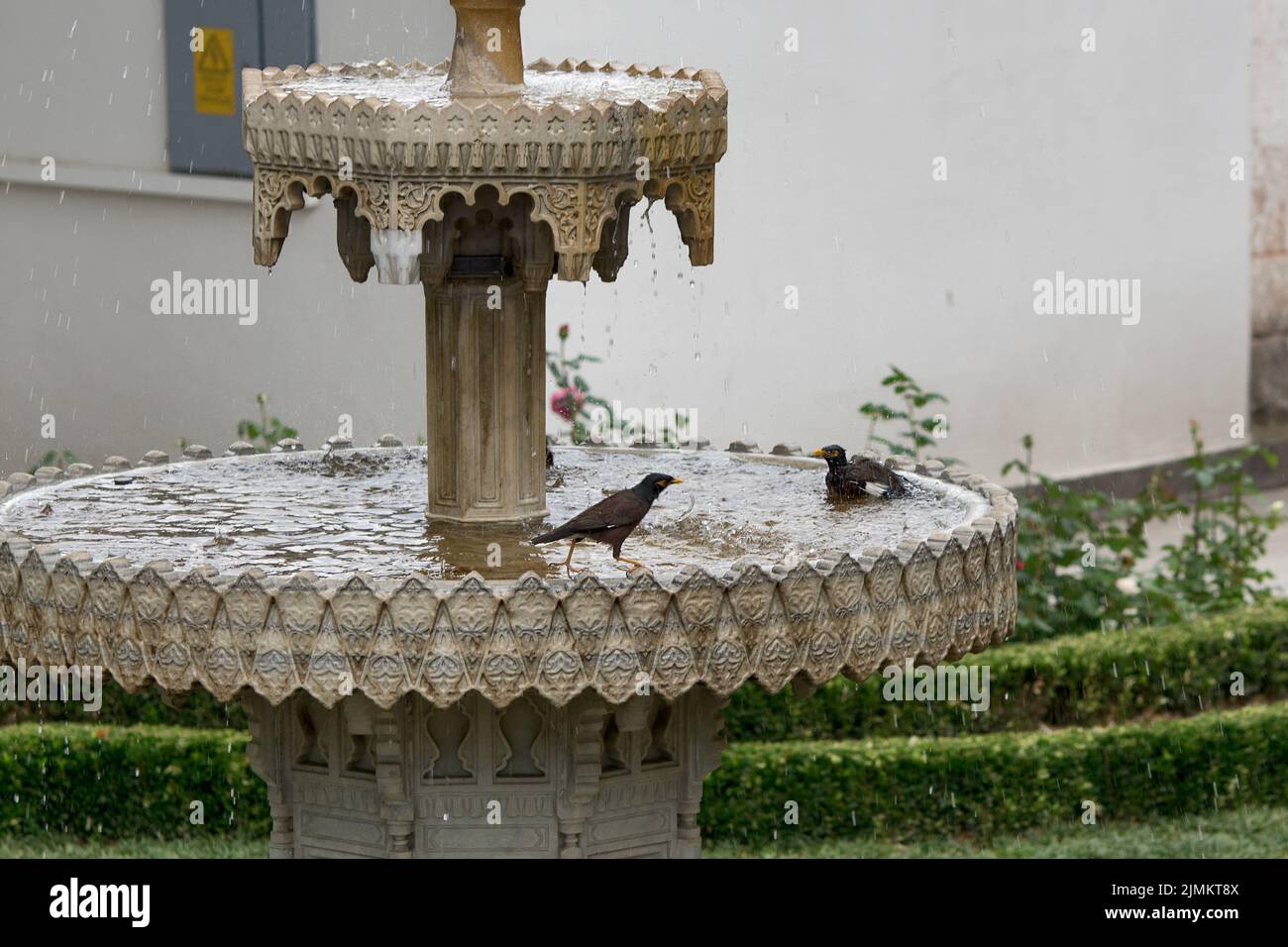 Palais de Topkapi, Istanbul, Turquie : fontaine dans la quatrième cour Banque D'Images