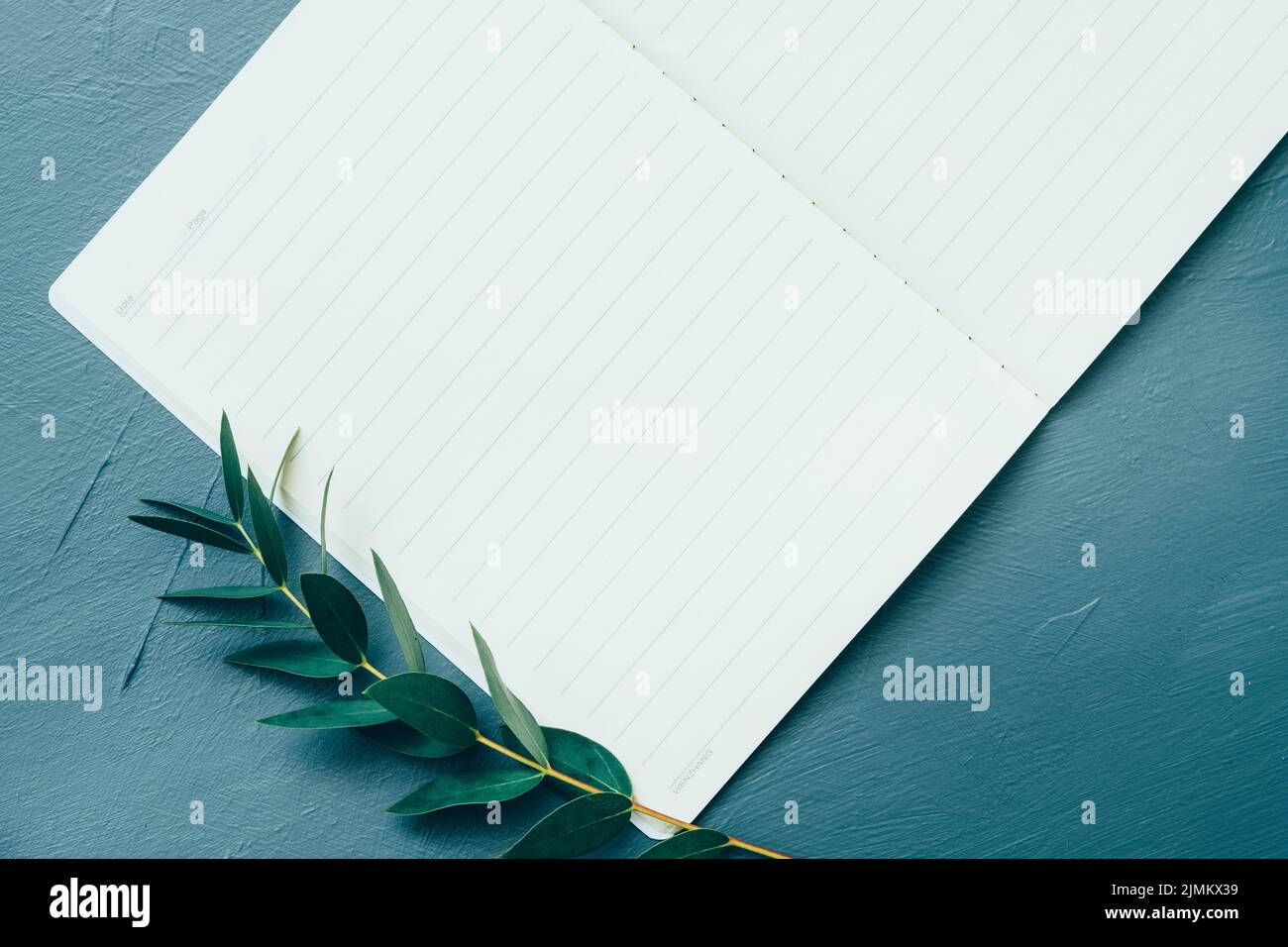 ouvrez le bloc-notes vide à faire pour afficher les feuilles vertes Banque D'Images