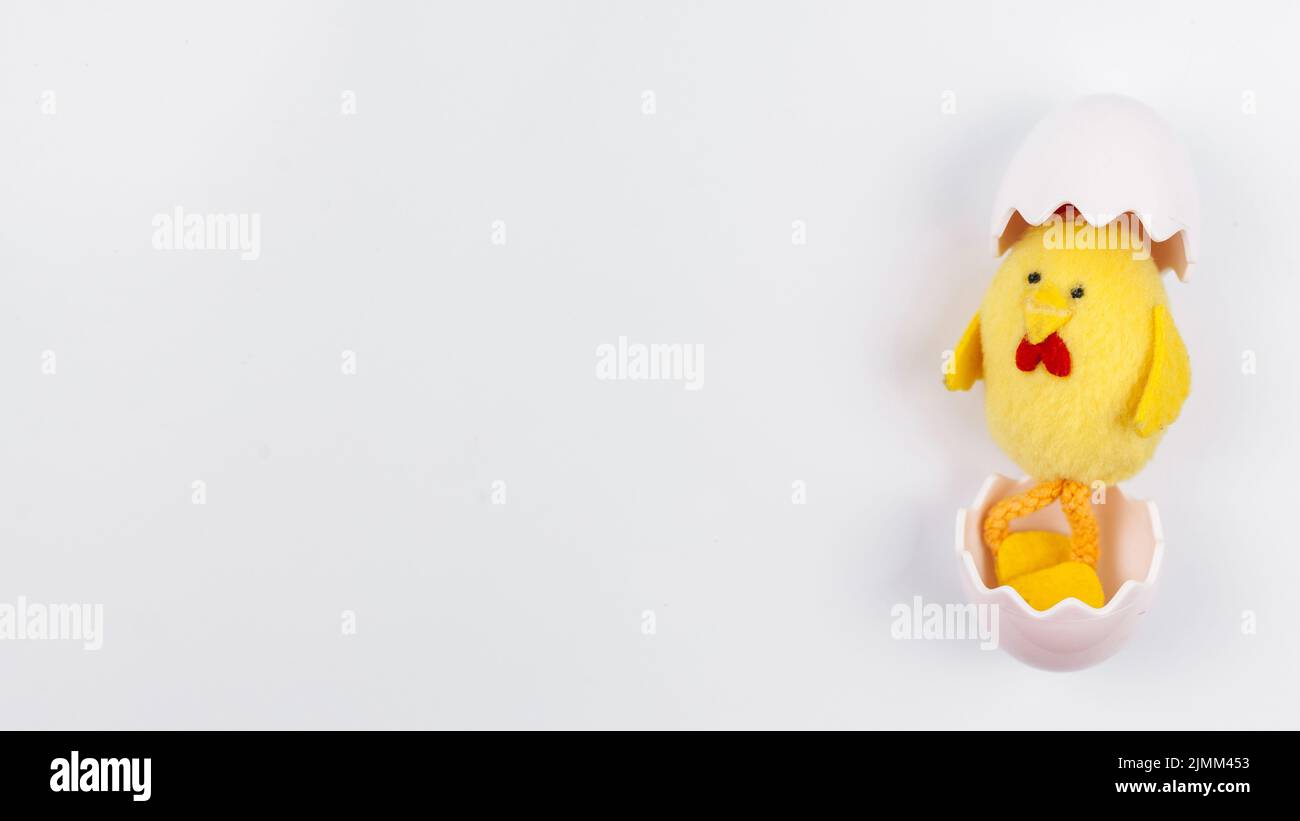 Petite table de coquillage de poulet en peluche Banque D'Images