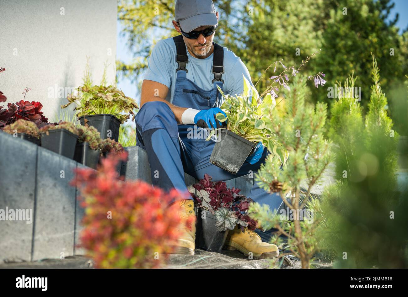 Jardinier professionnel sélectionnant les plantes appropriées pour un nouveau jardin résidentiel de cour. L'industrie de l'aménagement paysager. Banque D'Images