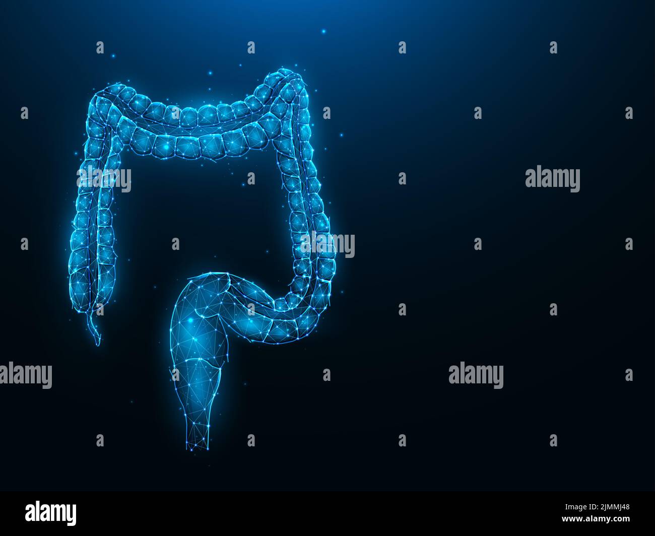 Abstraction illustration vectorielle polygonale du côlon ou du gros intestin sur fond bleu foncé. Système digestif, interne Banque D'Images
