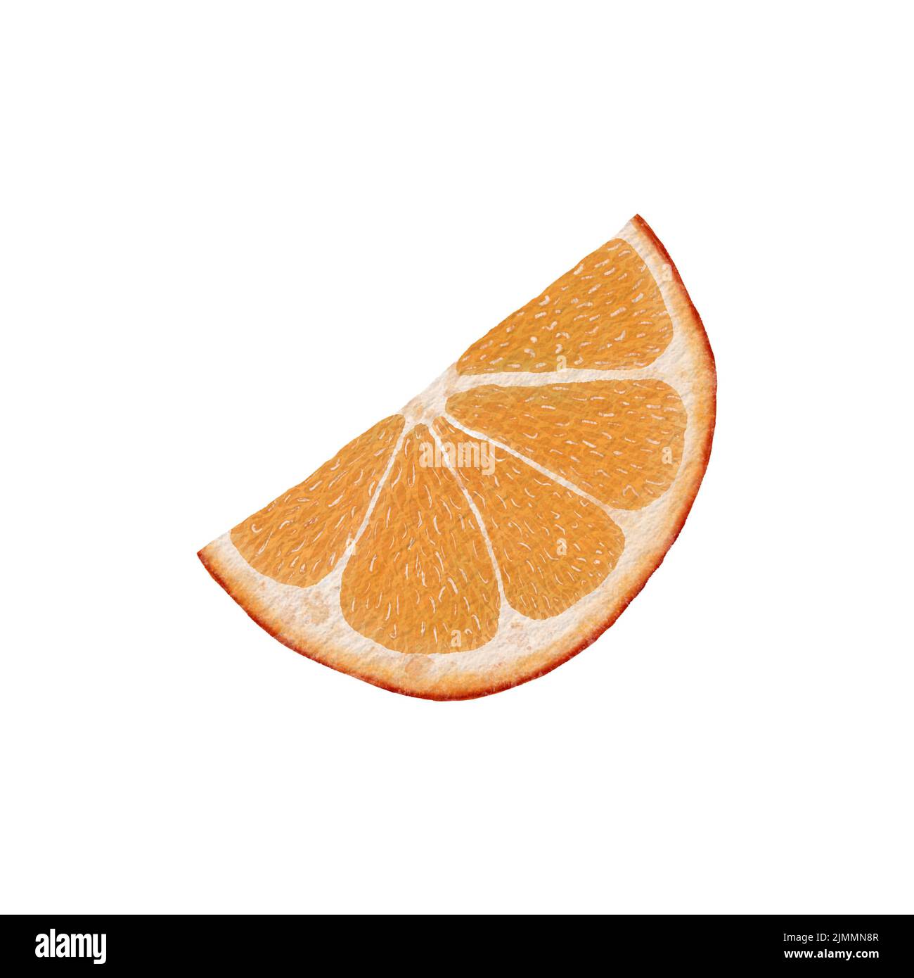 Orange. Tranche d'une aquarelle orange. Fruit orange juteux isolé sur fond blanc Banque D'Images