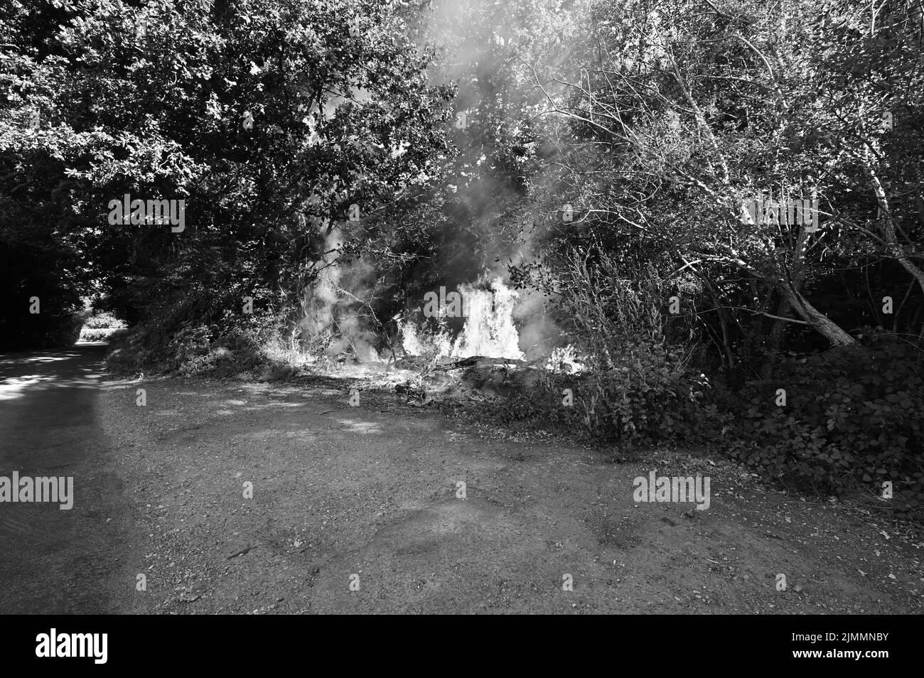 Un feu de forêt sur le côté de la route à Ardingly, West Sussex, pendant les conditions de sécheresse de l'été, le 07th août 2022 Banque D'Images