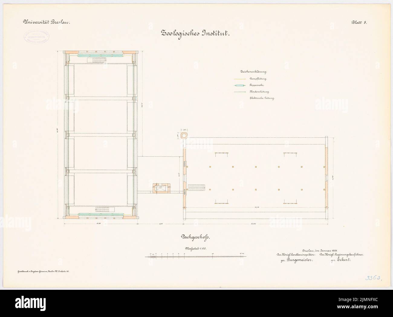 Buchwald Arthur, Université, Wroclaw. Institut zoologique (1902-1904): Plan d'étage dernier étage 1: 100. Lithographie, 51,1 x 69,3 cm (y compris les bords de balayage) Banque D'Images