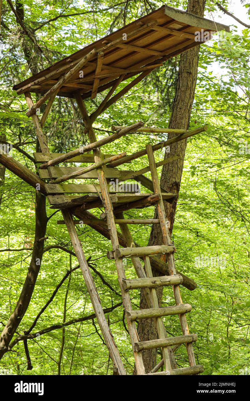 Une photo verticale de la haute place d'un chasseur dans les bois Banque D'Images