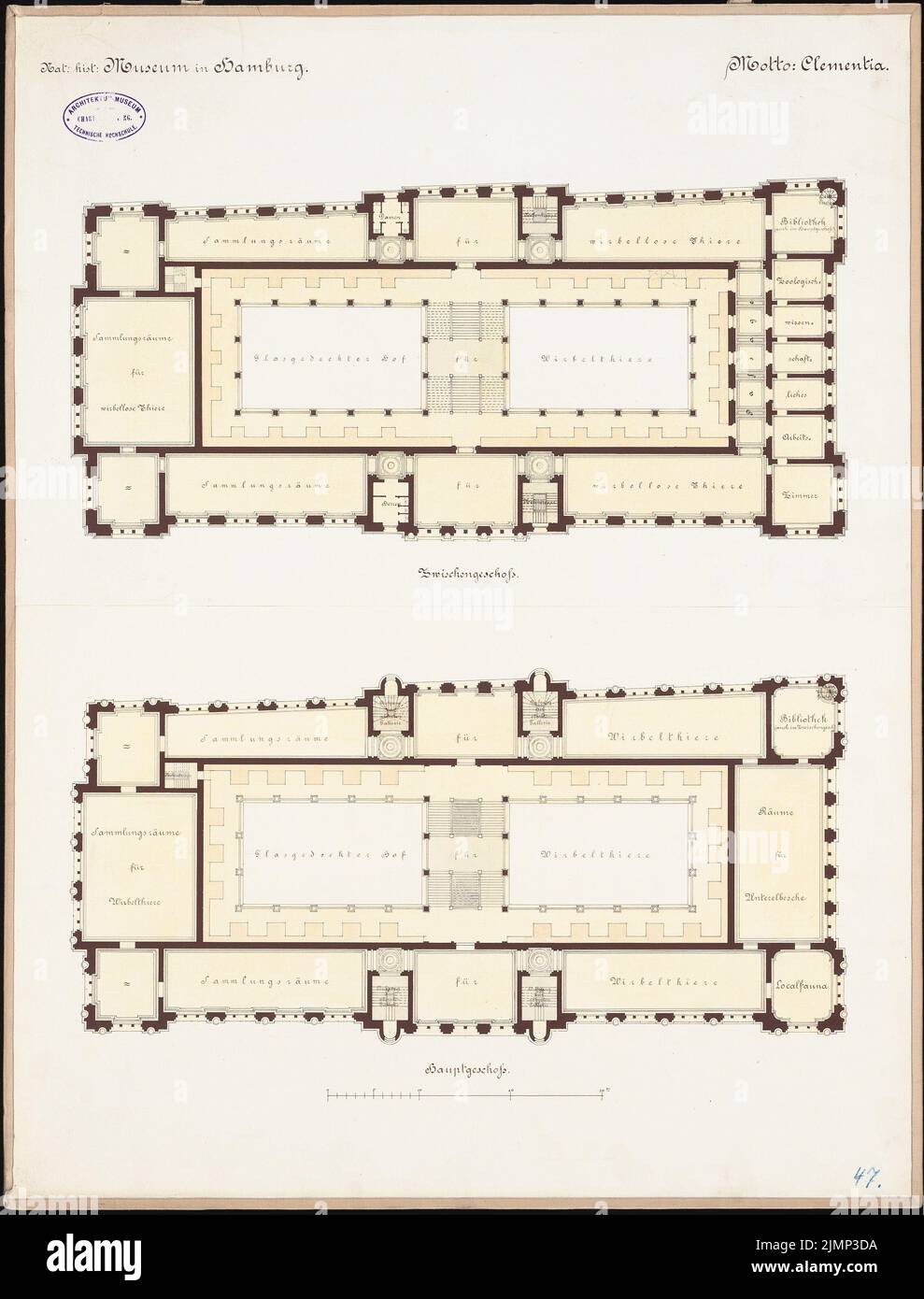 Giesenberg Edgar (1851-1892), Musée d'Histoire naturelle (Musée commercial), Hambourg (sans date): Plan d'étage étage étage intermédiaire, étage principal 1: 200. Tusche aquarelle sur papier, 66,3 x 50,4 cm (y compris les bords de balayage) Giesenberg Edgar (1851-1892): Musée Naturahistorisches (Gewerbemuseum), Hambourg Banque D'Images