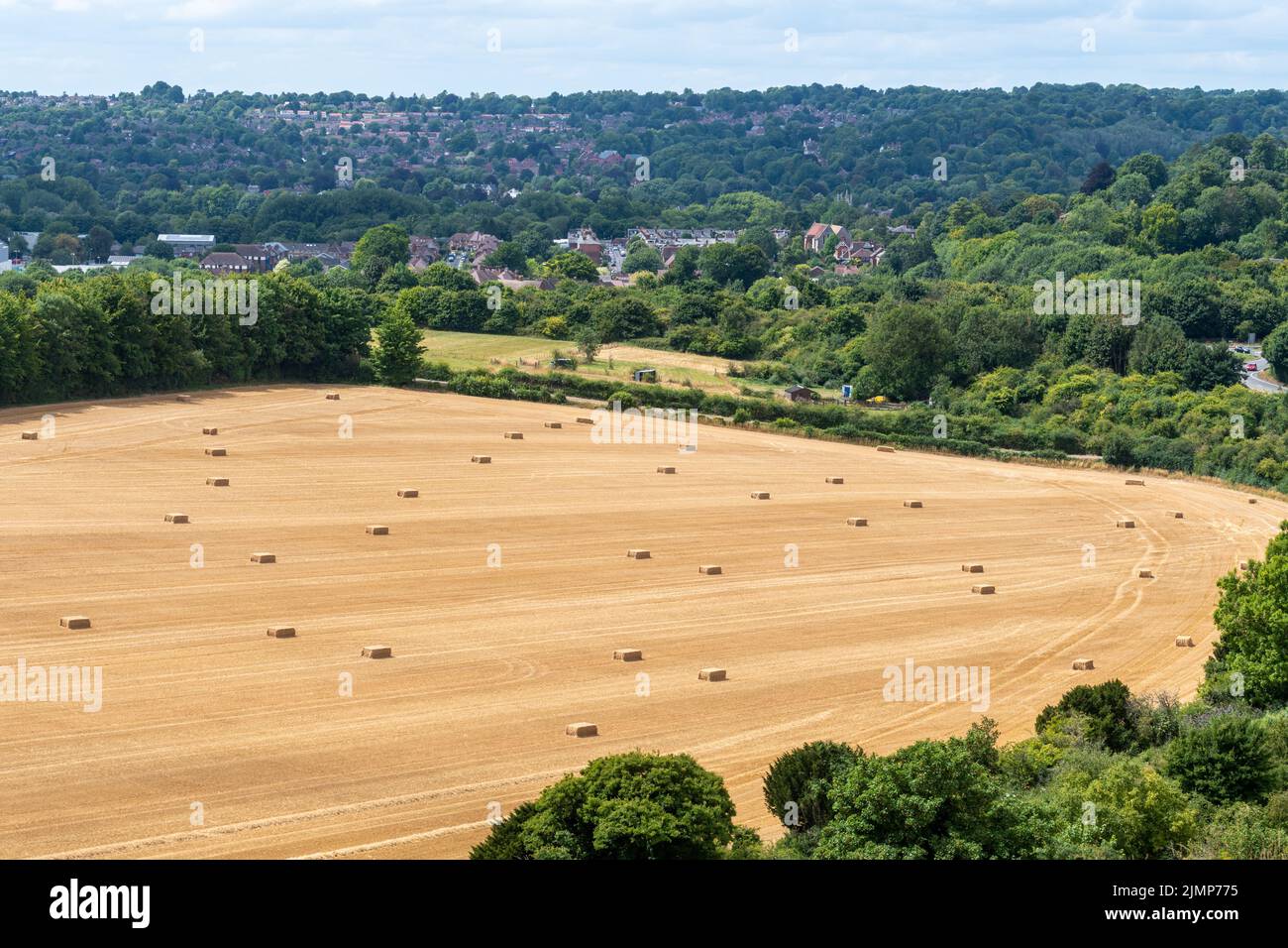 Vue de Winchester avec des balles de champs de maïs et de foin au premier plan en août ou en été prises de Magdaalen Hill, Hampshire, Angleterre, Royaume-Uni Banque D'Images